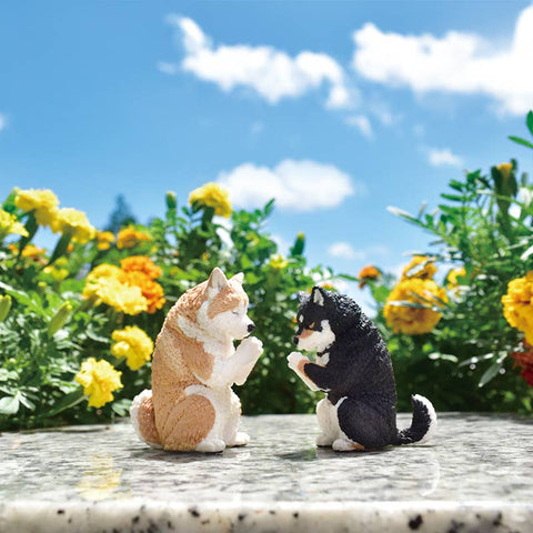 PRAYER DOG BLIND BOX