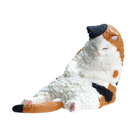 SLEEPY CAT BLIND BOX