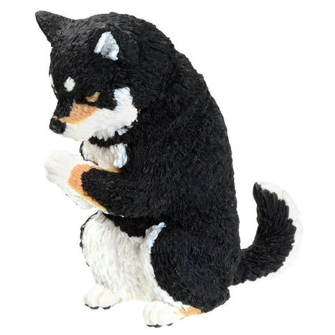 PRAYER DOG BLIND BOX