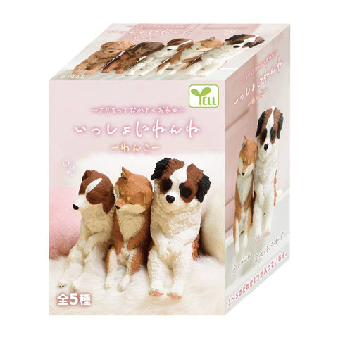 LET'S SLEEP DOG BLIND BOX