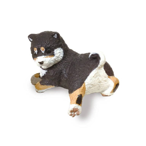 RESTING SHIBA INU BLIND BOX