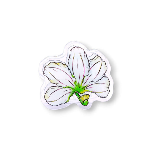 NAUPAKA ACRYLIC PAPER CLIP
