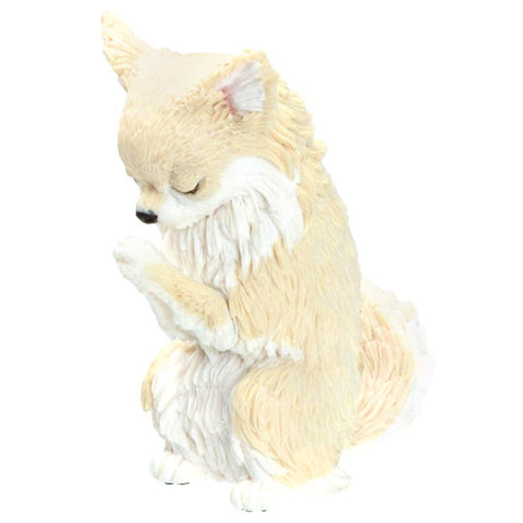 PRAYER DOG BLIND BOX