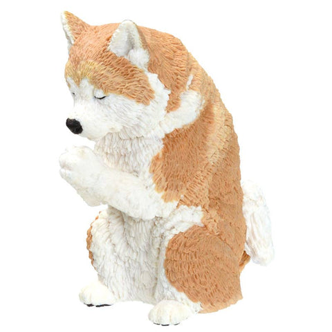 PRAYER DOG BLIND BOX