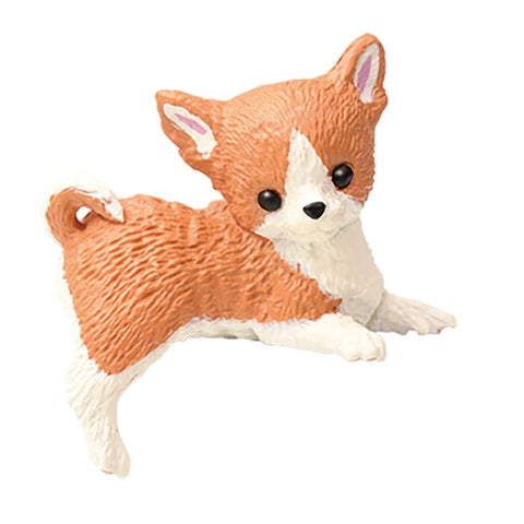 RESTING DOG  2 SURPRISE BOX