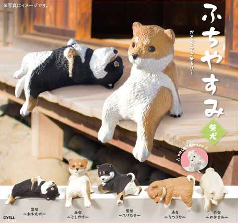 RESTING SHIBA INU BLIND BOX