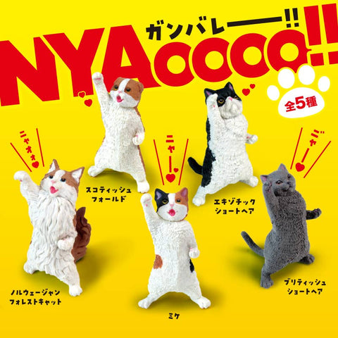 NYAOOOO!! FIST PUMP CAT BLIND BOX