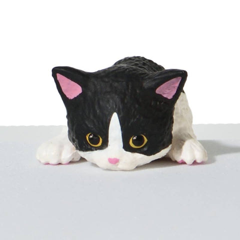 RESTING CAT 2 SURPRISE BOX