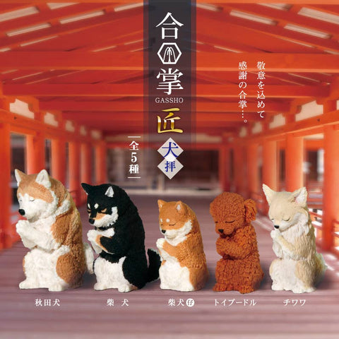 PRAYER DOG BLIND BOX