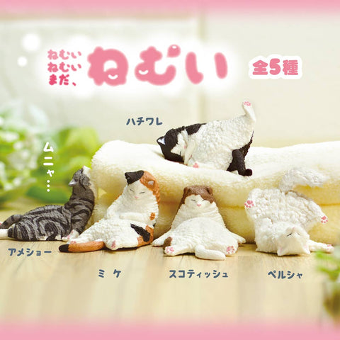SLEEPY CAT BLIND BOX