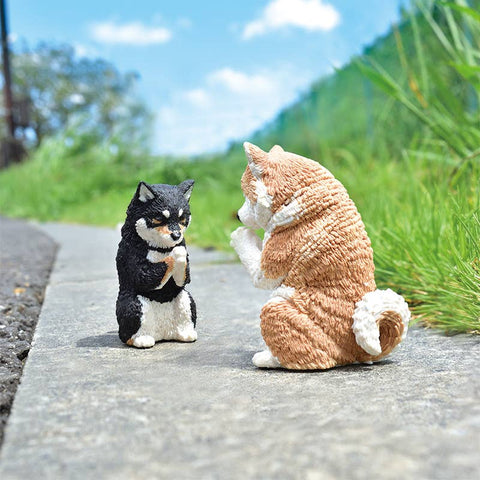 PRAYER DOG BLIND BOX