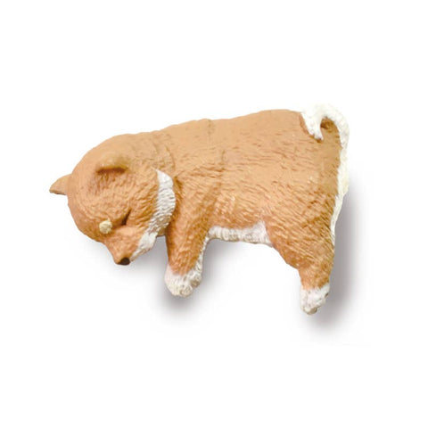 RESTING SHIBA INU BLIND BOX