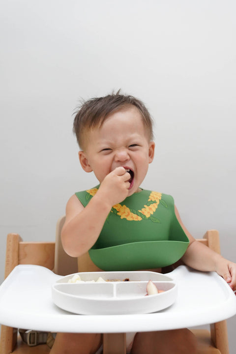 Silicone Bib