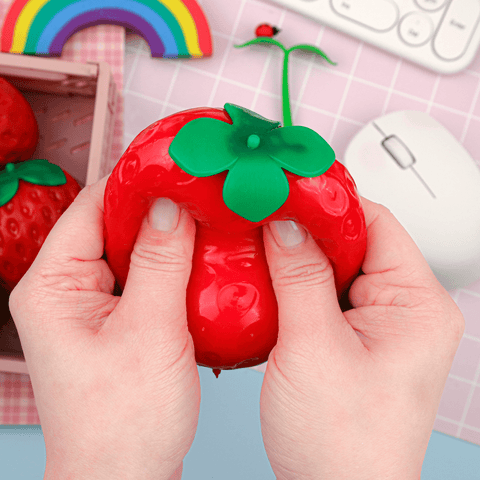 Strawberry Shaped Sensory Toy
