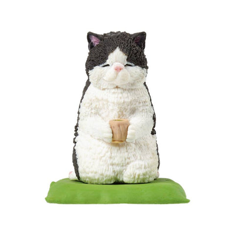 COZY DAYS CAT BLIND BOX