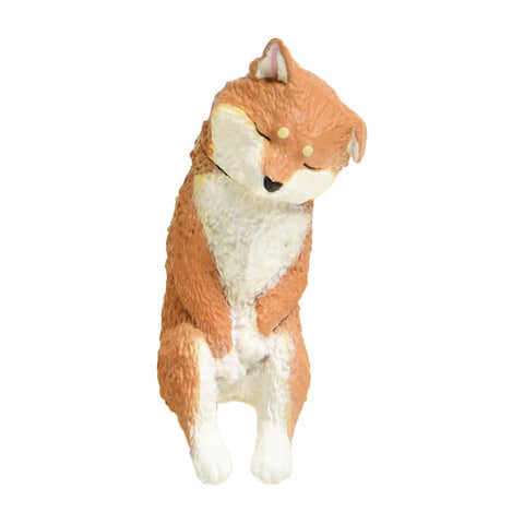LET'S SLEEP DOG BLIND BOX