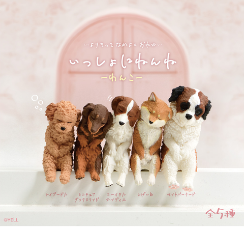 LET'S SLEEP DOG BLIND BOX
