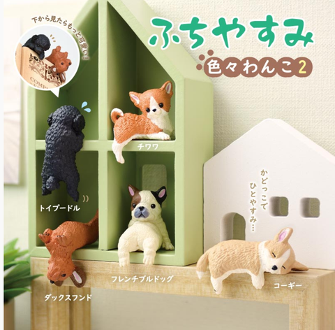 RESTING DOG  2 SURPRISE BOX