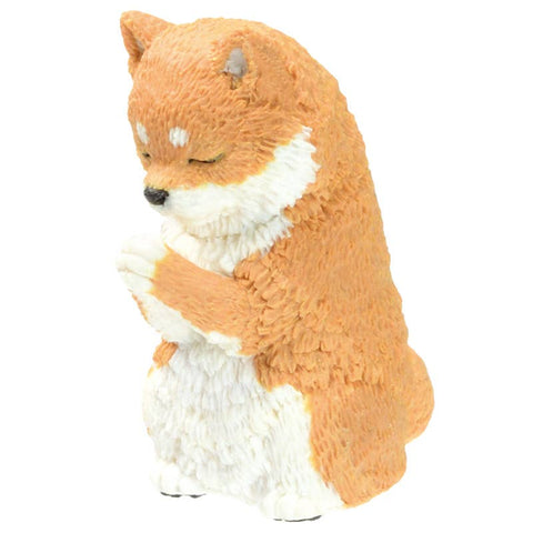 PRAYER DOG BLIND BOX