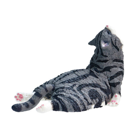 SLEEPY CAT BLIND BOX